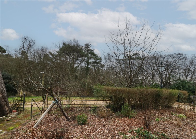 The garden (photo 2) at Limberlost Cottage, near Hamworthy