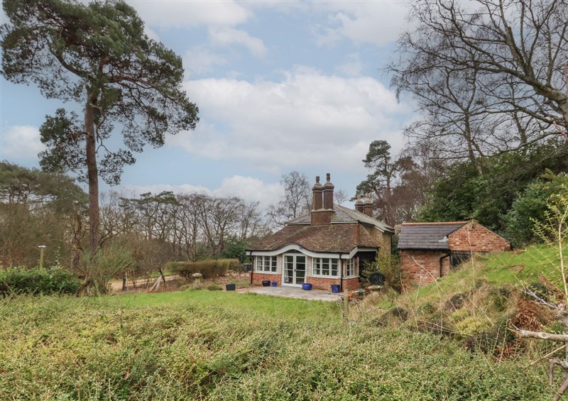 The garden at Limberlost Cottage, near Hamworthy