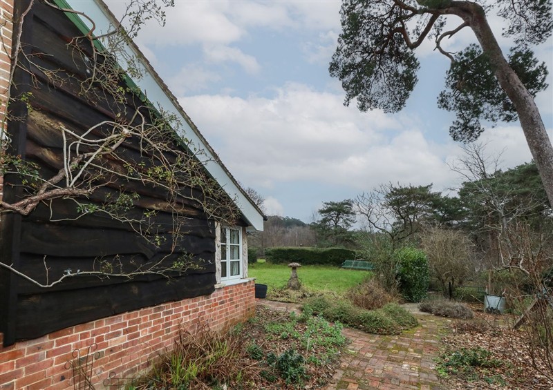 The setting at Limberlost Cottage, near Hamworthy