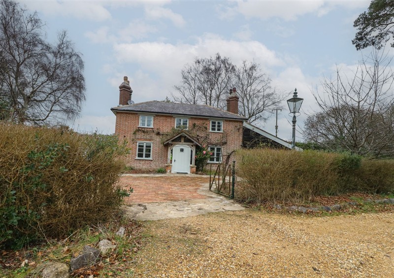 This is the garden at Limberlost Cottage, near Hamworthy