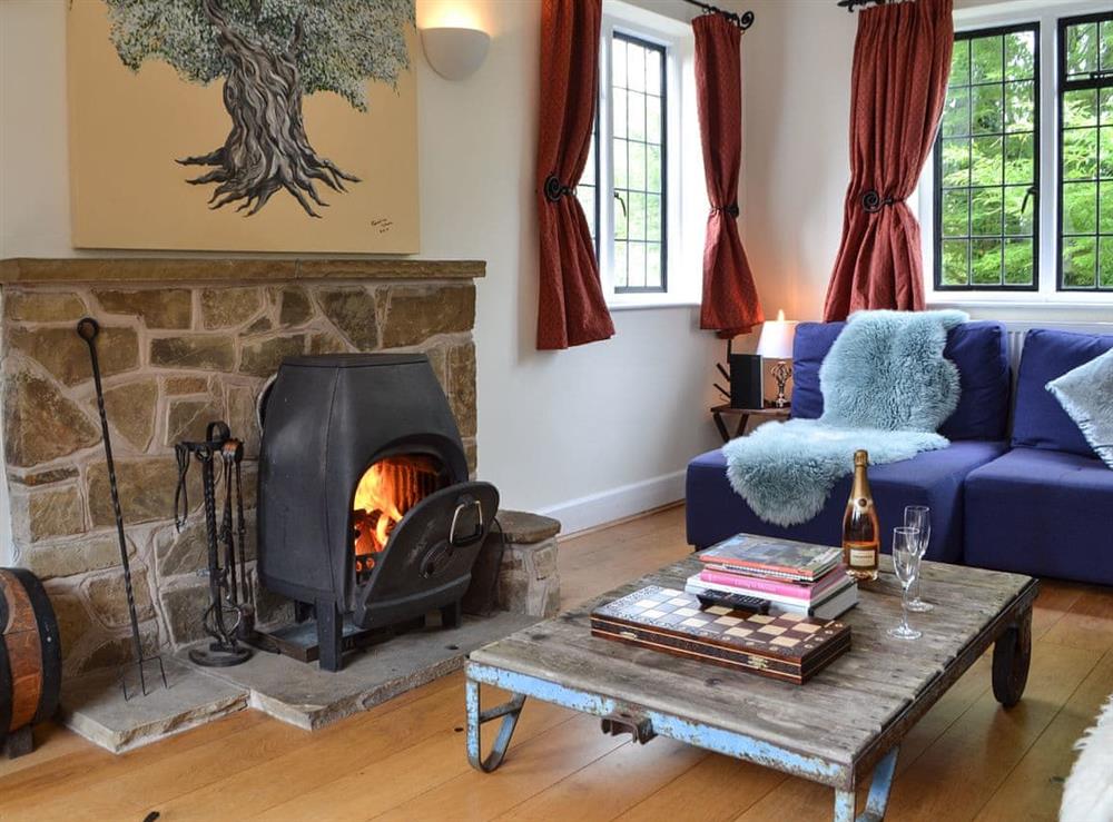 Living room with wood burner at Lime Cross Cottage in Herstmonceux, near Hailsham, East Sussex