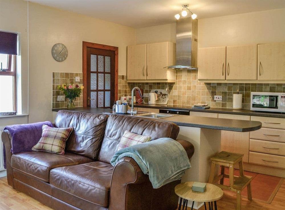 Open plan living space at Lime tree Cottage in Newtonairds, Dumfriesshire