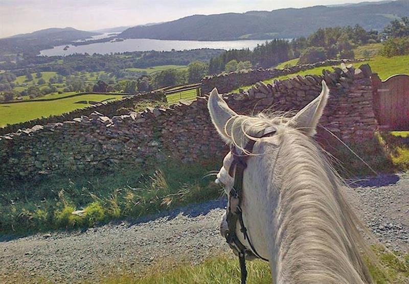 Horse riding in the countryside at Limefitt Park in Windermere, Cumbria