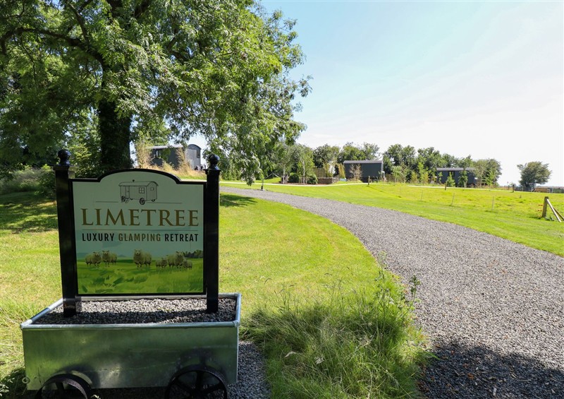 Enjoy the garden (photo 2) at Limetree Luxury Glamping Portland, Nottingham