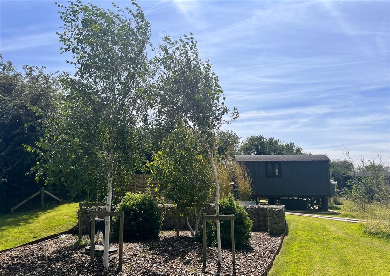 Enjoy the garden (photo 4) at Limetree Luxury Glamping Portland, Nottingham
