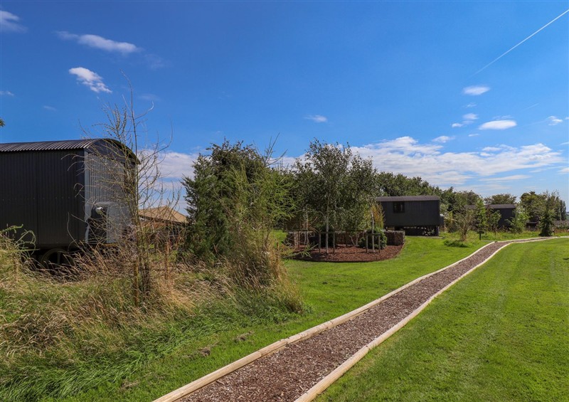 Enjoy the garden at Limetree Luxury Glamping Portland, Nottingham