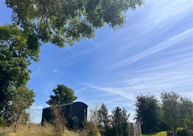 The garden (photo 4) at Limetree Luxury Glamping Portland, Nottingham