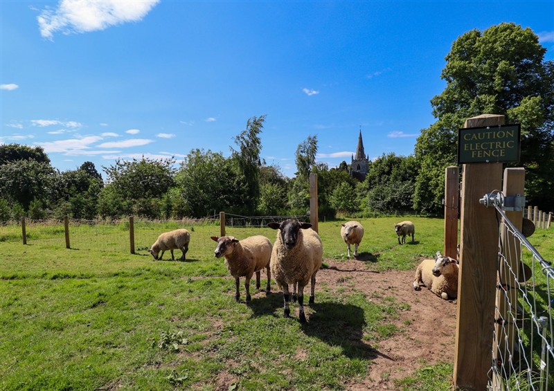 The garden in Limetree Luxury Glamping Portland at Limetree Luxury Glamping Portland, Nottingham