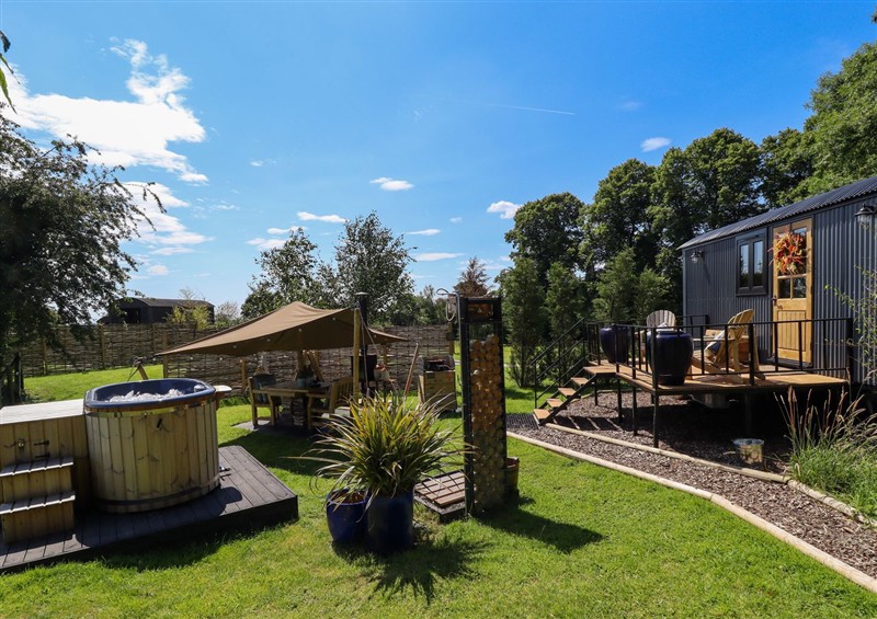 The garden at Limetree Luxury Glamping Portland, Nottingham
