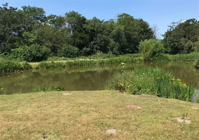 The setting of Limetree Luxury Glamping Portland at Limetree Luxury Glamping Portland, Nottingham