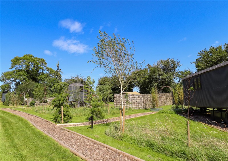 This is the garden (photo 2) at Limetree Luxury Glamping Portland, Nottingham