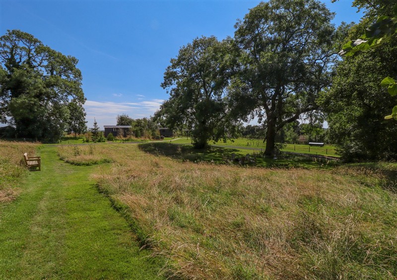 This is the garden (photo 3) at Limetree Luxury Glamping Portland, Nottingham
