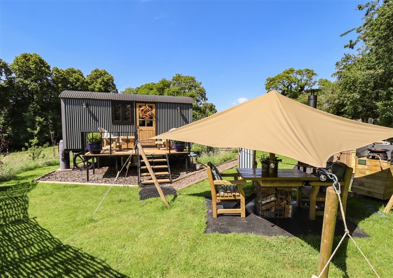 Enjoy the garden (photo 2) at Limetree Luxury Glamping Southdown, Nottingham