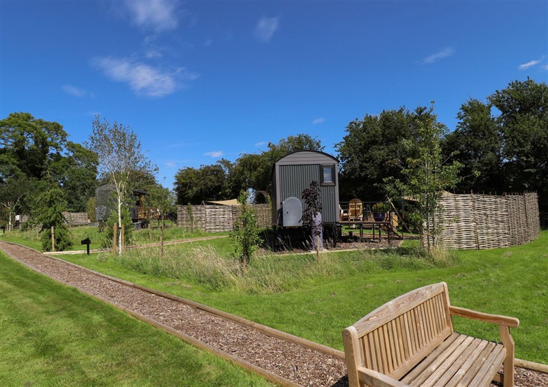 Enjoy the garden (photo 3) at Limetree Luxury Glamping Southdown, Nottingham