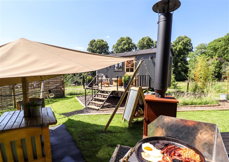Enjoy the garden at Limetree Luxury Glamping Southdown, Nottingham
