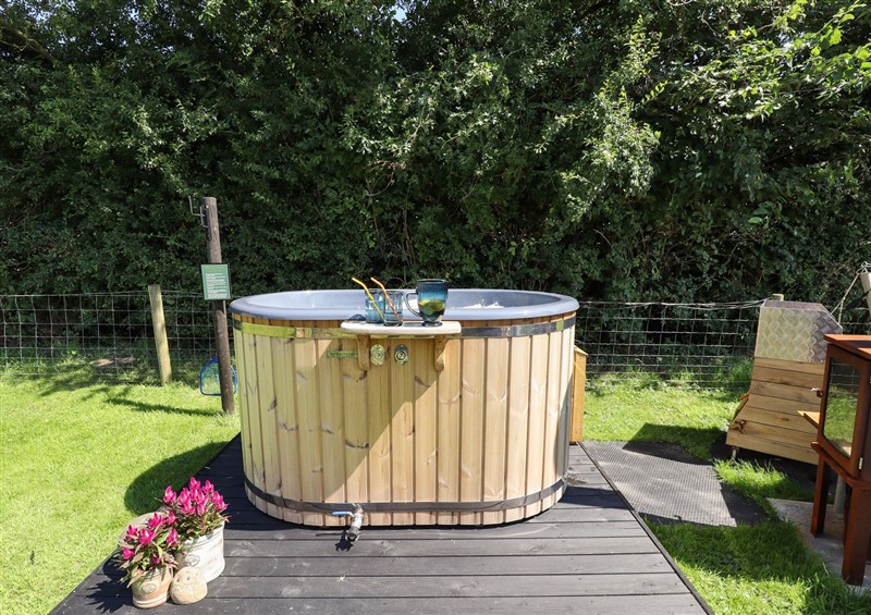 The garden (photo 2) at Limetree Luxury Glamping Southdown, Nottingham
