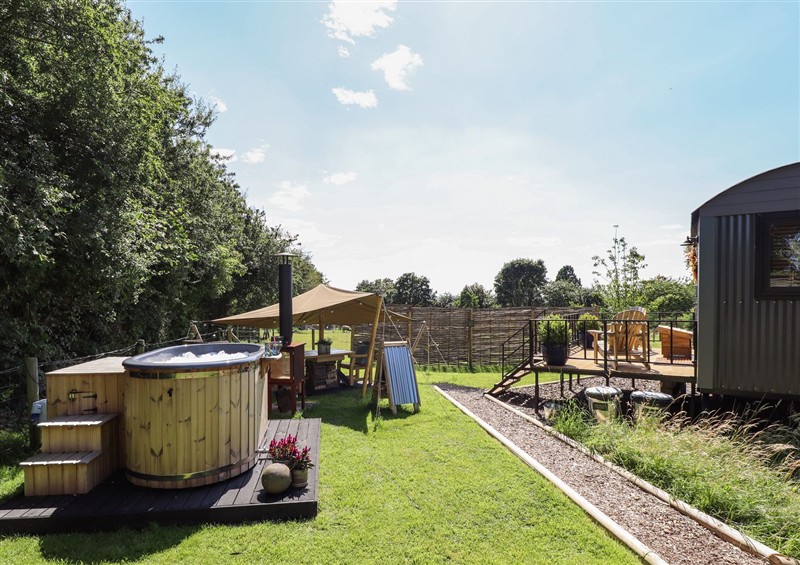 The garden (photo 3) at Limetree Luxury Glamping Southdown, Nottingham