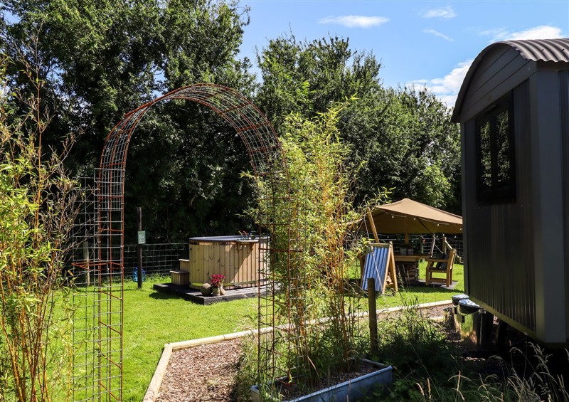 The garden (photo 4) at Limetree Luxury Glamping Southdown, Nottingham