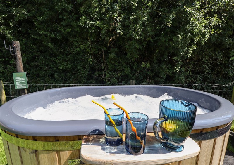 This is the garden (photo 3) at Limetree Luxury Glamping Southdown, Nottingham
