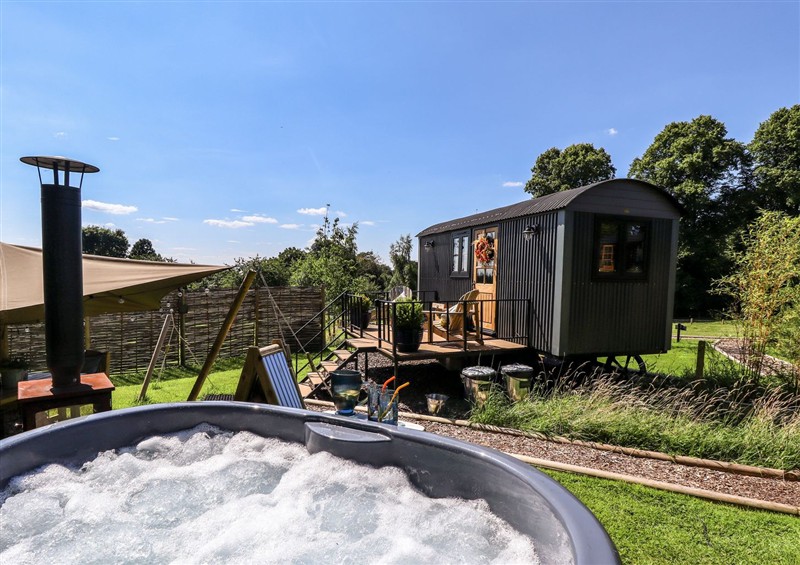 This is the garden at Limetree Luxury Glamping Southdown, Nottingham