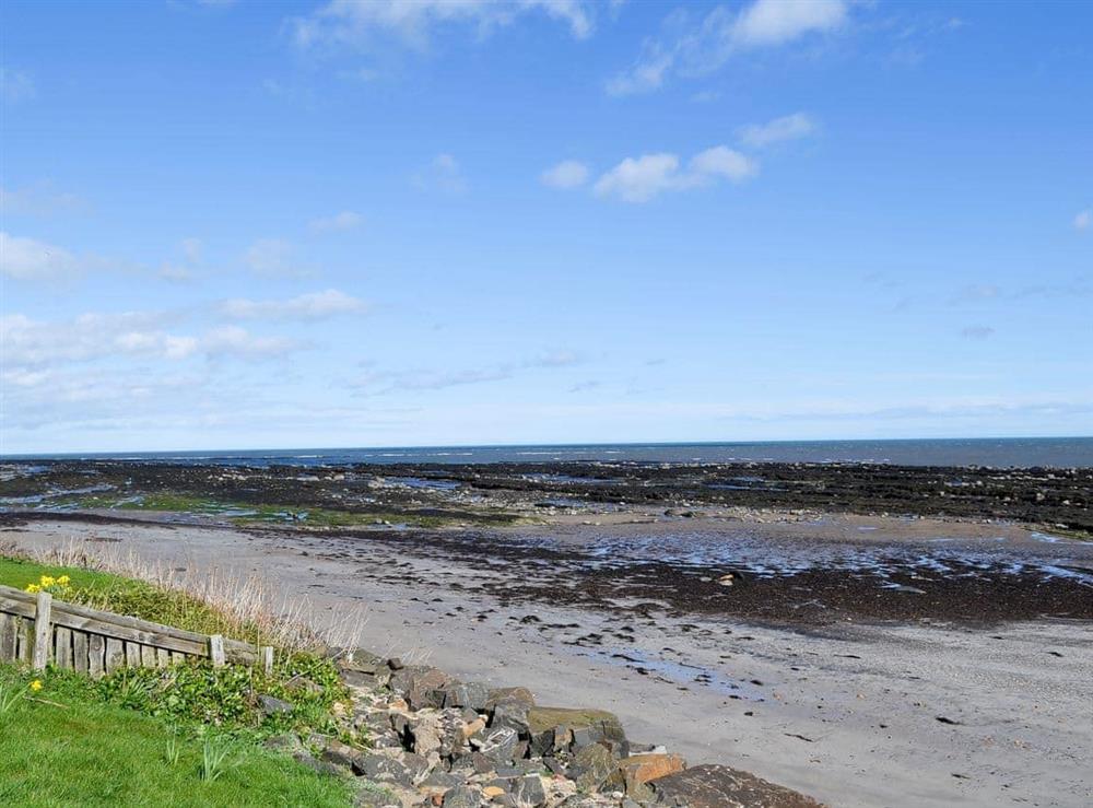 Panoramic views over the North sea can be enjoyed from the garden at Limpet Cottage in Boulmer, Northumberland