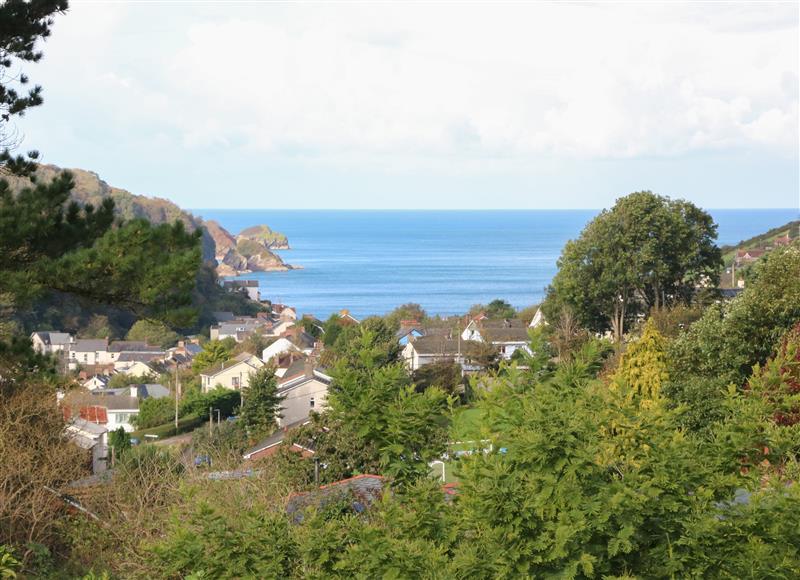 In the area at Linden View, Combe Martin