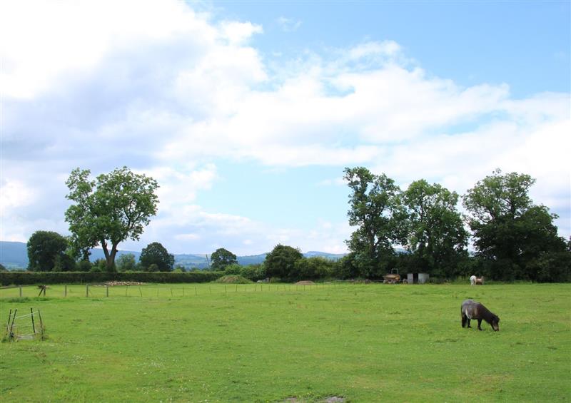 Rural landscape at Lindens Annexe, Minsterley
