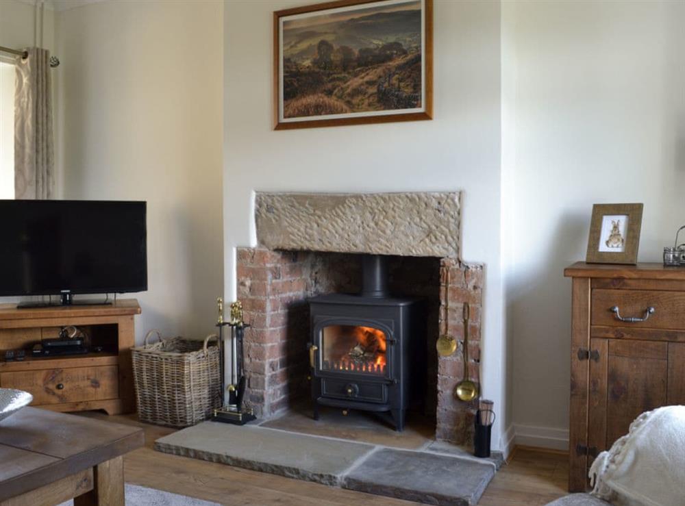 Living room with wood burner at Lings Farm Cottage in Temple Normanton, near Chesterfield, Derbyshire