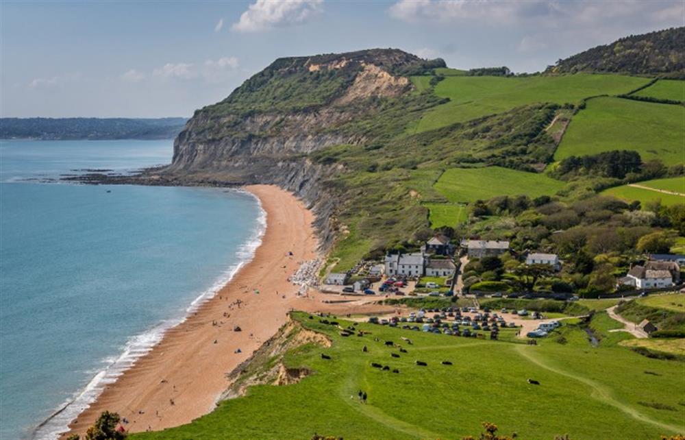 Photos of Linhay Cottage, Lyme Regis