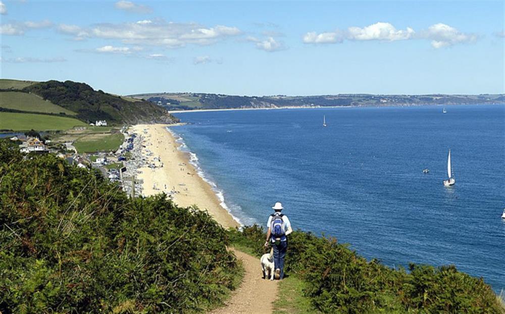 The coastal footpath and Beesands beach at Linhays in Bickerton