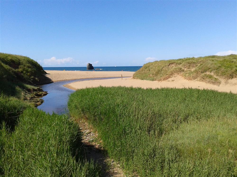 Thurlestone beach and its unspoilt marshes at Links Cottage in Thurlestone, Kingsbridge