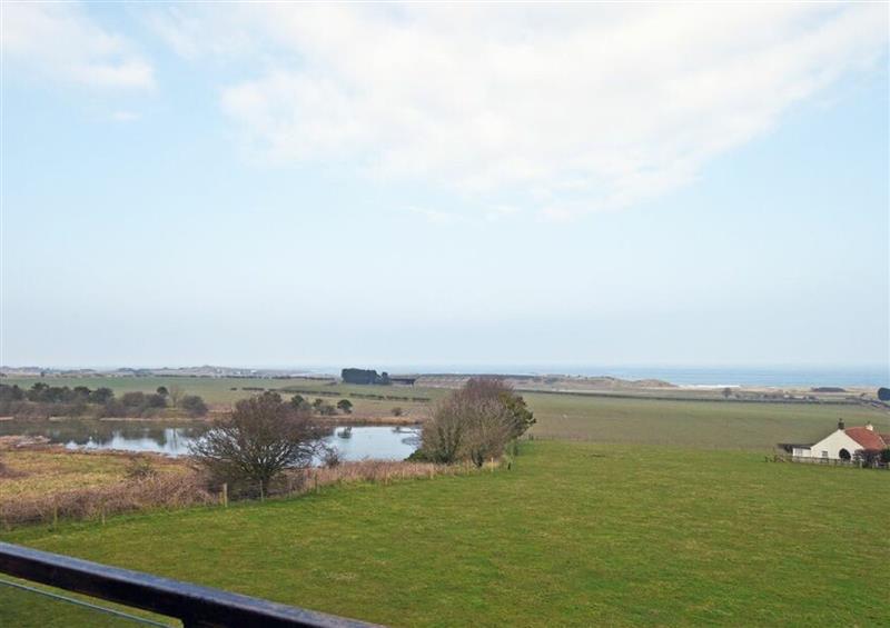 The area around Links View at Links View, Embleton