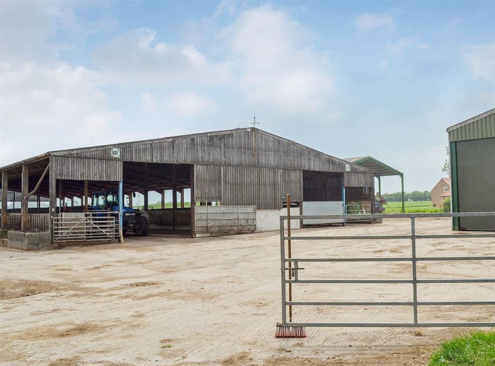 Farmyard at Linton Woods Farm in Linton-on-Ouse, near York, North Yorkshire