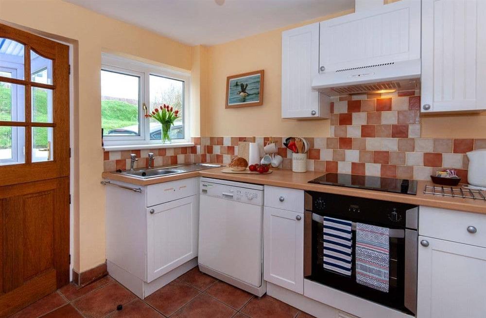 This is the kitchen (photo 2) at Lion Rock Cottage in Haverfordwest, Pembrokeshire, Dyfed