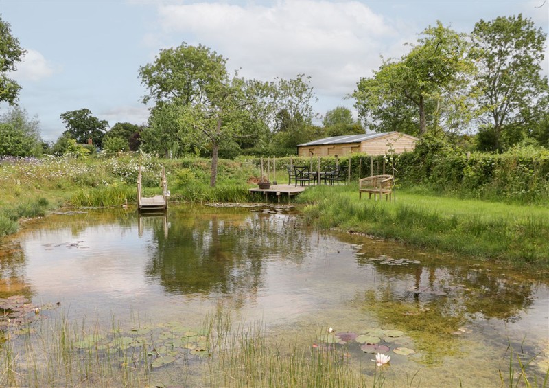 Rural landscape at Little Acorn Cottage, Munsley near Ledbury