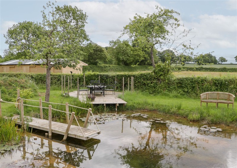 The area around Little Acorn Cottage at Little Acorn Cottage, Munsley near Ledbury