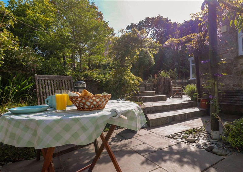 The garden at Little Acorns, Gweek