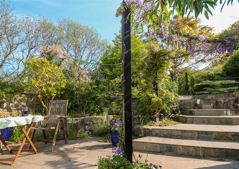 This is the garden at Little Acorns, Gweek