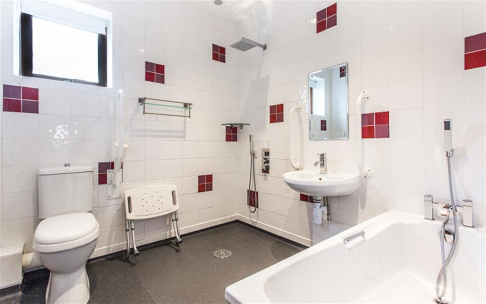The wetroom, complete with various grab rails, shower seat and all wheelchair accessible). at Little Arrish in Liverton