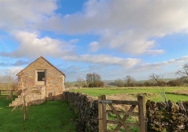 The garden at Little Barn, Grindon