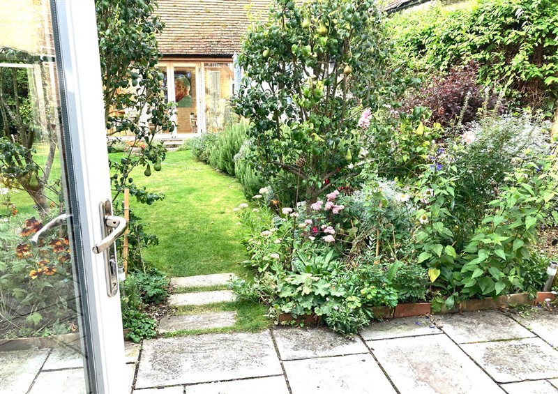 This is the garden at Little Barn, Orwell