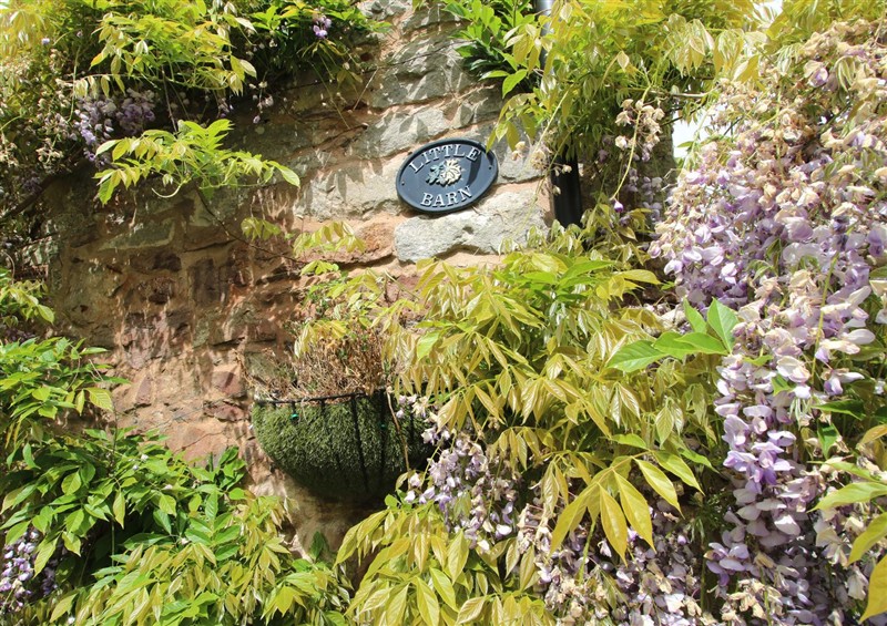 The garden (photo 2) at Little Barn, Trefonen