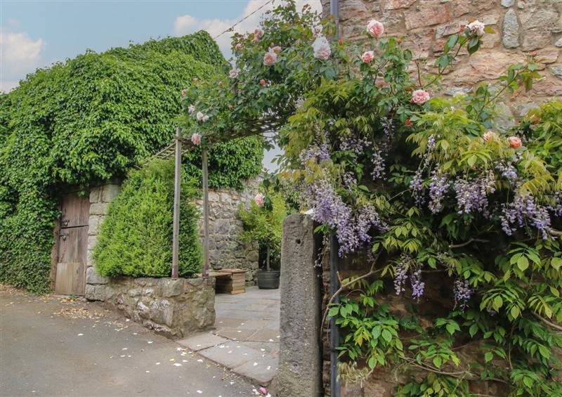 The garden in Little Barn (photo 2) at Little Barn, Trefonen