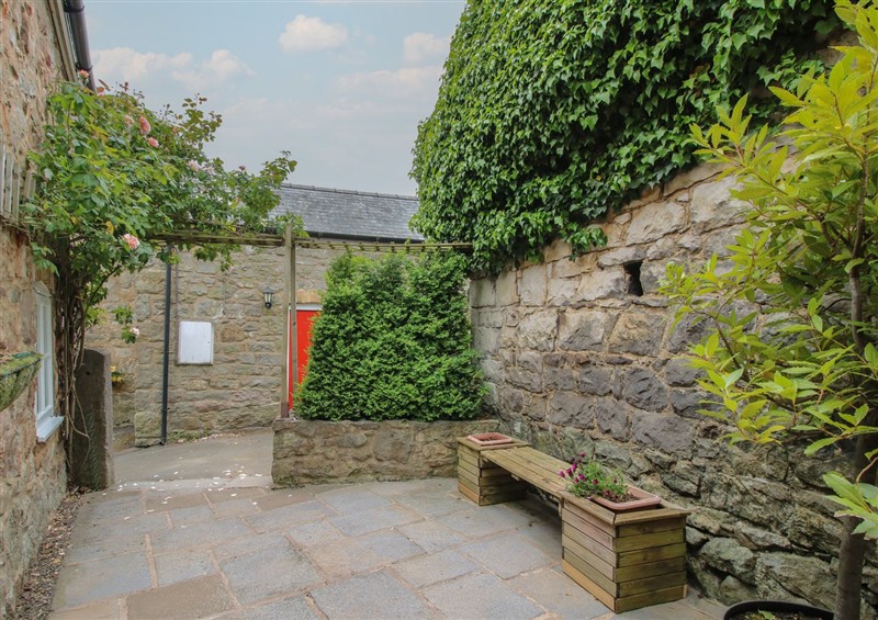 The garden at Little Barn, Trefonen