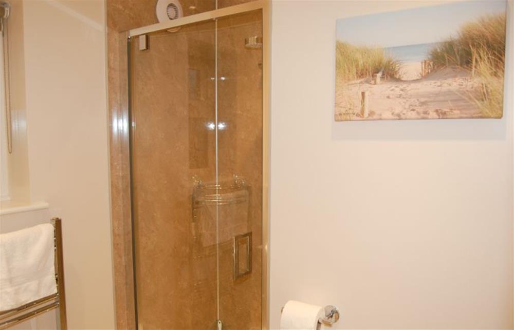 Ground floor:  Shower room with large walk in shower at Little Birches, Roydon near Kings Lynn