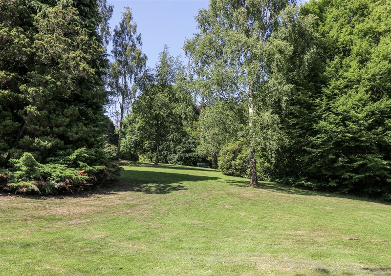 This is the garden at Little Birchinlea, Glossop