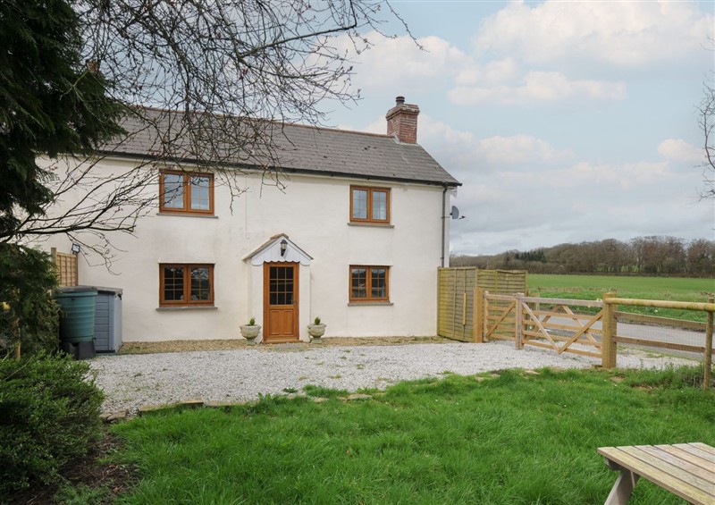 The setting at Little Blagdon, Ashwater