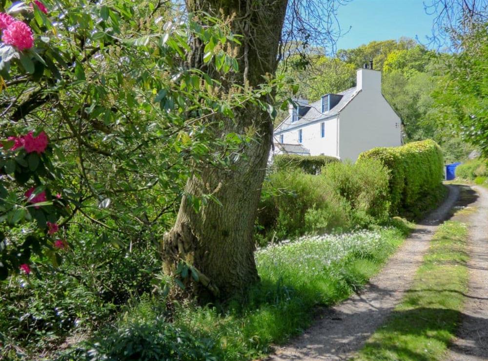 Approach way to the property at Little Boreland in Gatehouse of Fleet, Dumfries and Galloway