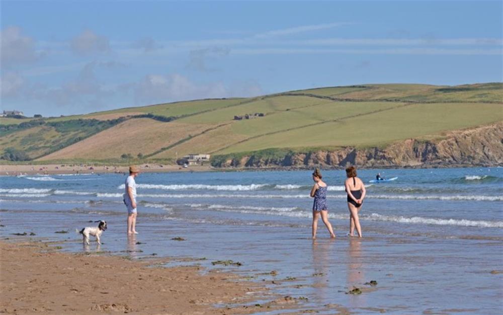 Bigbury beach allows dogs with some restrictions at Little Coombe in Bigbury
