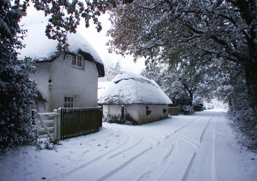 Cottage entrance in the Snow